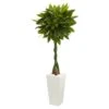 5.5’ Money Artificial Tree In White Tower Planter (Real Touch) 1 5.5’ Money Artificial Tree In White Tower Planter (Real Touch) -Artificial Flowers Sale artificial 55 money artificial tree in white tower planter real touch nearly natural 733951