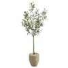 5.5’ Olive Artificial Tree In Sand Colored Planter -Artificial Flowers Sale artificial 55 olive artificial tree in sand colored planter nearly natural 498212