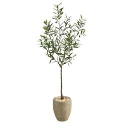 5.5’ Olive Artificial Tree In Sand Colored Planter