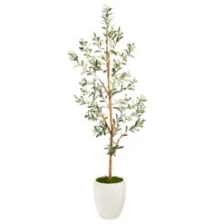 5.5’ Olive Artificial Tree In White Planter