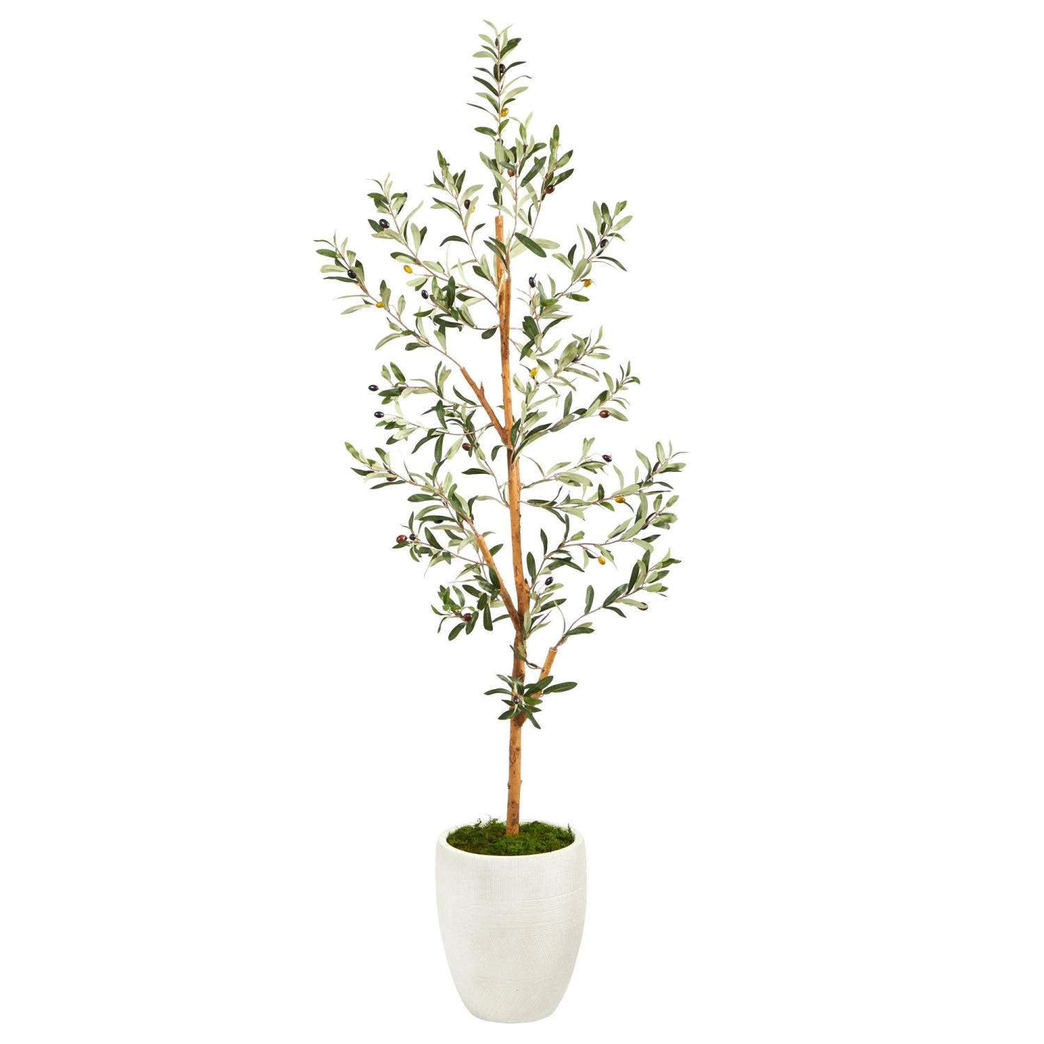 5.5’ Olive Artificial Tree In White Planter 3 5.5’ Olive Artificial Tree In White Planter