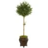 5.5’ Olive Topiary Artificial Tree In Decorative Planter -Artificial Flowers Sale artificial 55 olive topiary artificial tree in decorative planter nearly natural 936972