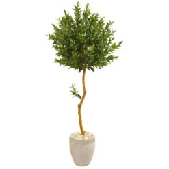 5.5’ Olive Topiary Artificial Tree In Sand Colored Planter(Indoor/Outdoor)
