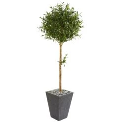 5.5’ Olive Topiary Artificial Tree In Slate Planter