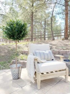 5.5’ Olive Topiary Artificial Tree UV Resistant (Indoor/Outdoor) -Artificial Flowers Sale artificial 55 olive topiary artificial tree uv resistant indooroutdoor nearly natural 741066