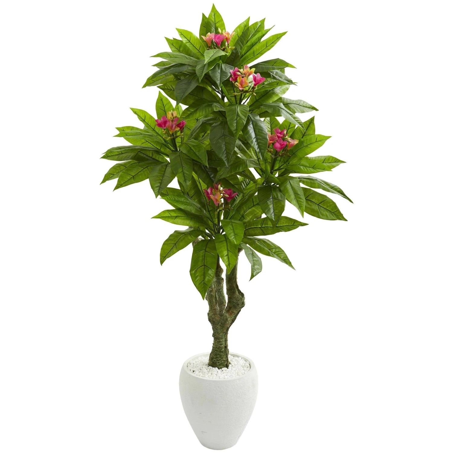 5.5’ Plumeria Artificial Tree In White Planter (Indoor/Outdoor) 3 5.5’ Plumeria Artificial Tree In White Planter (Indoor/Outdoor)
