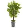 55” River Birch Artificial Tree In Decorative Planter -Artificial Flowers Sale artificial 55 river birch artificial tree in decorative planter nearly natural 890921