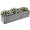 5.5” Succulent Garden W/Textured Concrete Planter -Artificial Flowers Sale artificial 55 succulent garden wtextured concrete planter nearly natural 806699