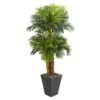 5.5’ Triple Areca Palm Artificial Tree In Slate Finish Planter 1 5.5’ Triple Areca Palm Artificial Tree In Slate Finish Planter -Artificial Flowers Sale artificial 55 triple areca palm artificial tree in slate finish planter nearly natural 472518