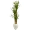 5.5’ Yucca Artificial Tree In White Planter -Artificial Flowers Sale artificial 55 yucca artificial tree in white planter nearly natural 575618