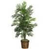 56" Areca Palm Silk Tree W/Basket"