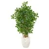 56” Black Olive Artificial Tree In White Planter -Artificial Flowers Sale artificial 56 black olive artificial tree in white planter nearly natural 761750