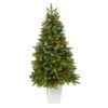 56” Snow Tipped Portland Spruce Artificial Christmas Tree With Frosted Berries And Pinecones With 100 Clear LED Lights In White Metal Planter -Artificial Flowers Sale artificial 56 snow tipped portland spruce artificial christmas tree with frosted berries and pinecones with 100 clear led lights in white metal planter nearly natural 320848