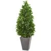 57” Bay Leaf Cone Topiary Tree In Slate Planter (Indoor/Outdoor) 1 57” Bay Leaf Cone Topiary Tree In Slate Planter (Indoor/Outdoor) -Artificial Flowers Sale artificial 57 bay leaf cone topiary tree in slate planter uv resistant indooroutdoor nearly natural 584508