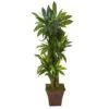 57” Corn Stalk Dracaena Artificial Plant In Brown Planter (Real Touch) -Artificial Flowers Sale artificial 57 corn stalk dracaena artificial plant in brown planter real touch nearly natural 255822