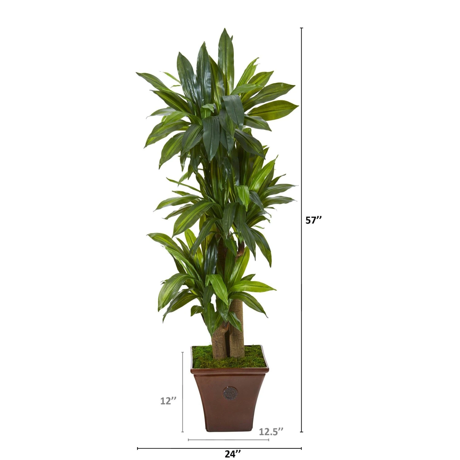 57” Corn Stalk Dracaena Artificial Plant In Brown Planter (Real Touch) 4 57” Corn Stalk Dracaena Artificial Plant In Brown Planter (Real Touch) - Image 2