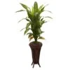 57” Dracaena W/Stand Silk Plant (Real Touch) -Artificial Flowers Sale artificial 57 dracaena wstand silk plant real touch nearly natural 326798