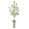 57” Olive Artificial Tree In Sand Colored Urn -Artificial Flowers Sale artificial 57 olive artificial tree in sand colored urn nearly natural 394642
