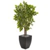 57” River Birch Artificial Tree In Black Planter 1 57” River Birch Artificial Tree In Black Planter -Artificial Flowers Sale artificial 57 river birch artificial tree in black planter nearly natural 878700