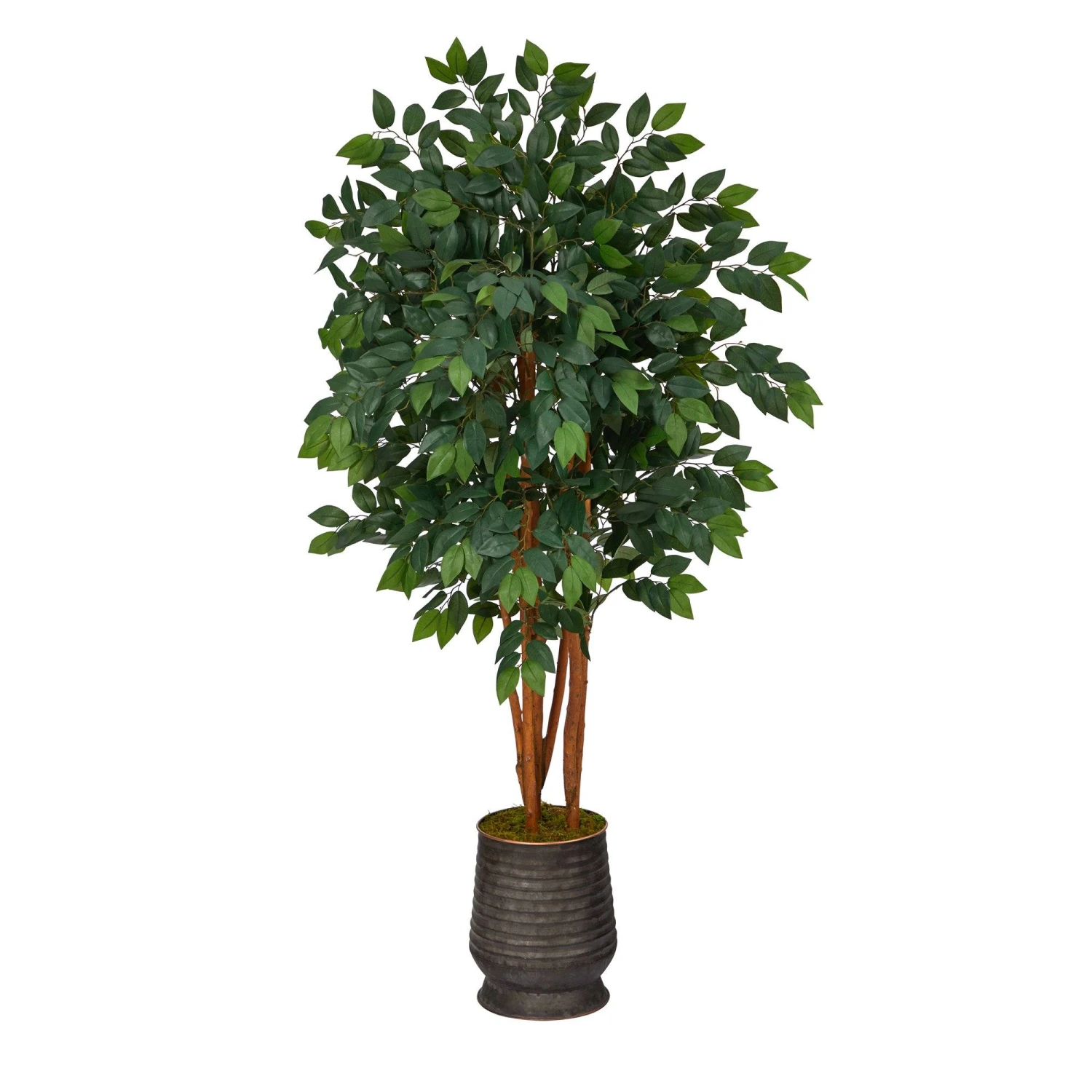 57” Sakaki Artificial Tree In Ribbed Metal Planter 3 57” Sakaki Artificial Tree In Ribbed Metal Planter