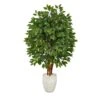 57” Super Deluxe Artificial Ficus Tree In White Planter 2 57” Super Deluxe Artificial Ficus Tree In White Planter -Artificial Flowers Sale artificial 57 super deluxe artificial ficus tree in white planter nearly natural 276450