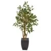 58” Ficus Artificial Tree In Black Planter -Artificial Flowers Sale artificial 58 ficus artificial tree in black planter nearly natural 760528