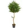 58” Olive Topiary Artificial Tree UV Resistant (Indoor/Outdoor) -Artificial Flowers Sale artificial 58 olive topiary artificial tree uv resistant indooroutdoor nearly natural 692192