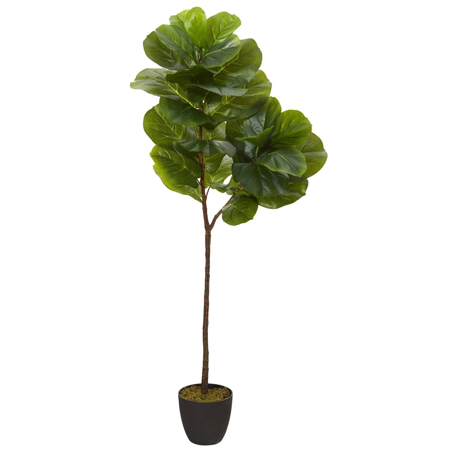 59” Fiddle Leaf Artificial Tree (Real Touch) 3 59” Fiddle Leaf Artificial Tree (Real Touch)