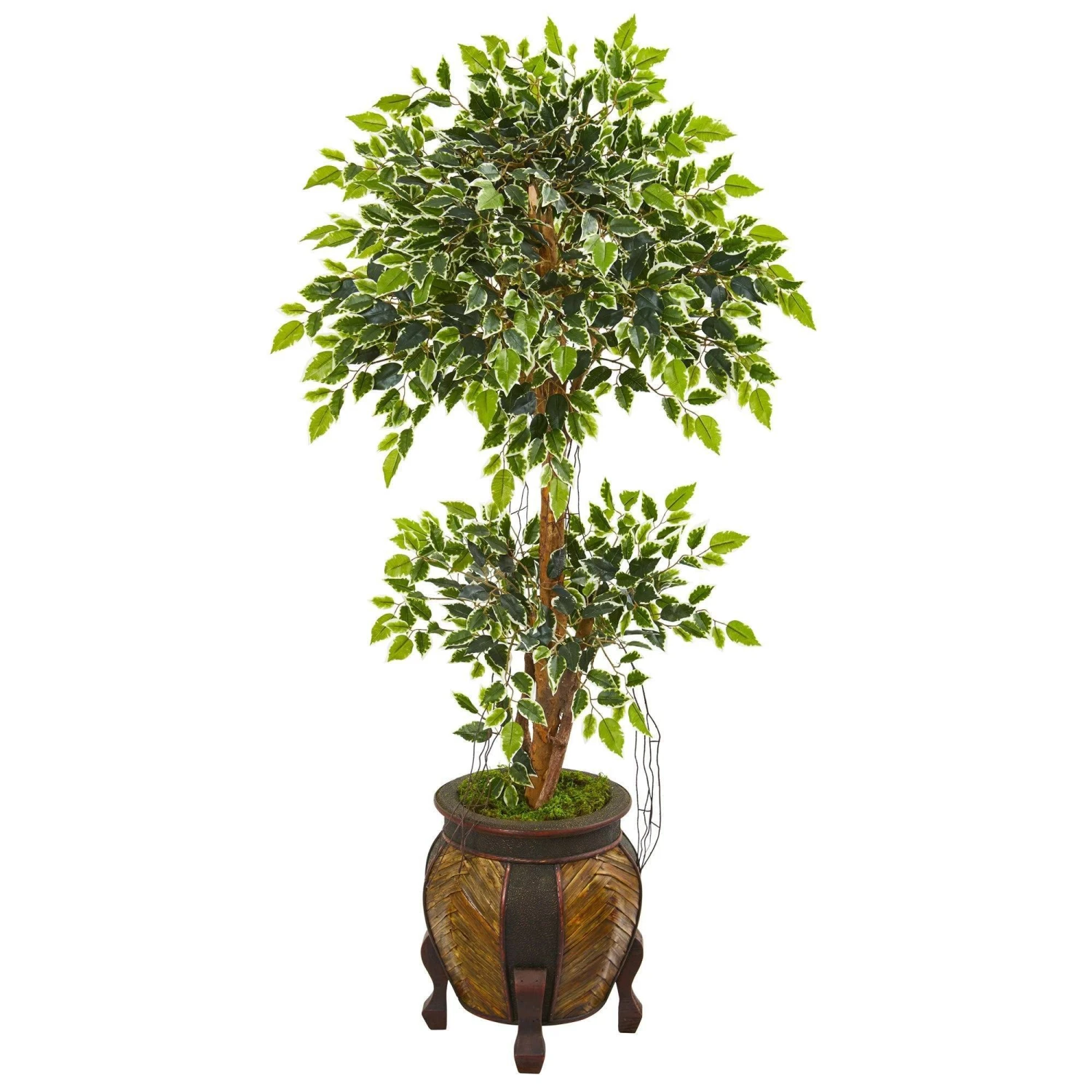 59” Variegated Ficus Artificial Tree In Decorative Planter 3 59” Variegated Ficus Artificial Tree In Decorative Planter