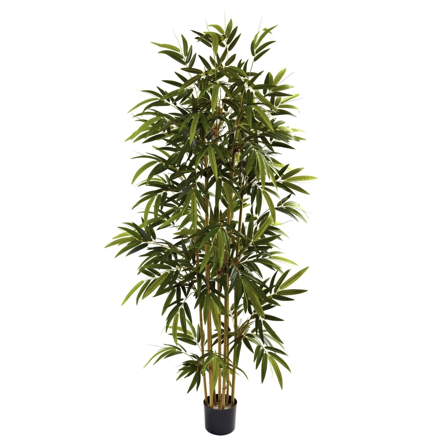 6' Bamboo Tree 3 6' Bamboo Tree