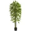6' Bamboo Tree UV Resistant (Indoor/Outdoor) -Artificial Flowers Sale artificial 6 bamboo tree uv resistant indooroutdoor nearly natural 785883