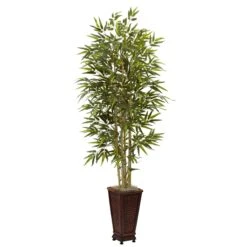 6’ Bamboo Tree W/Decorative Planter