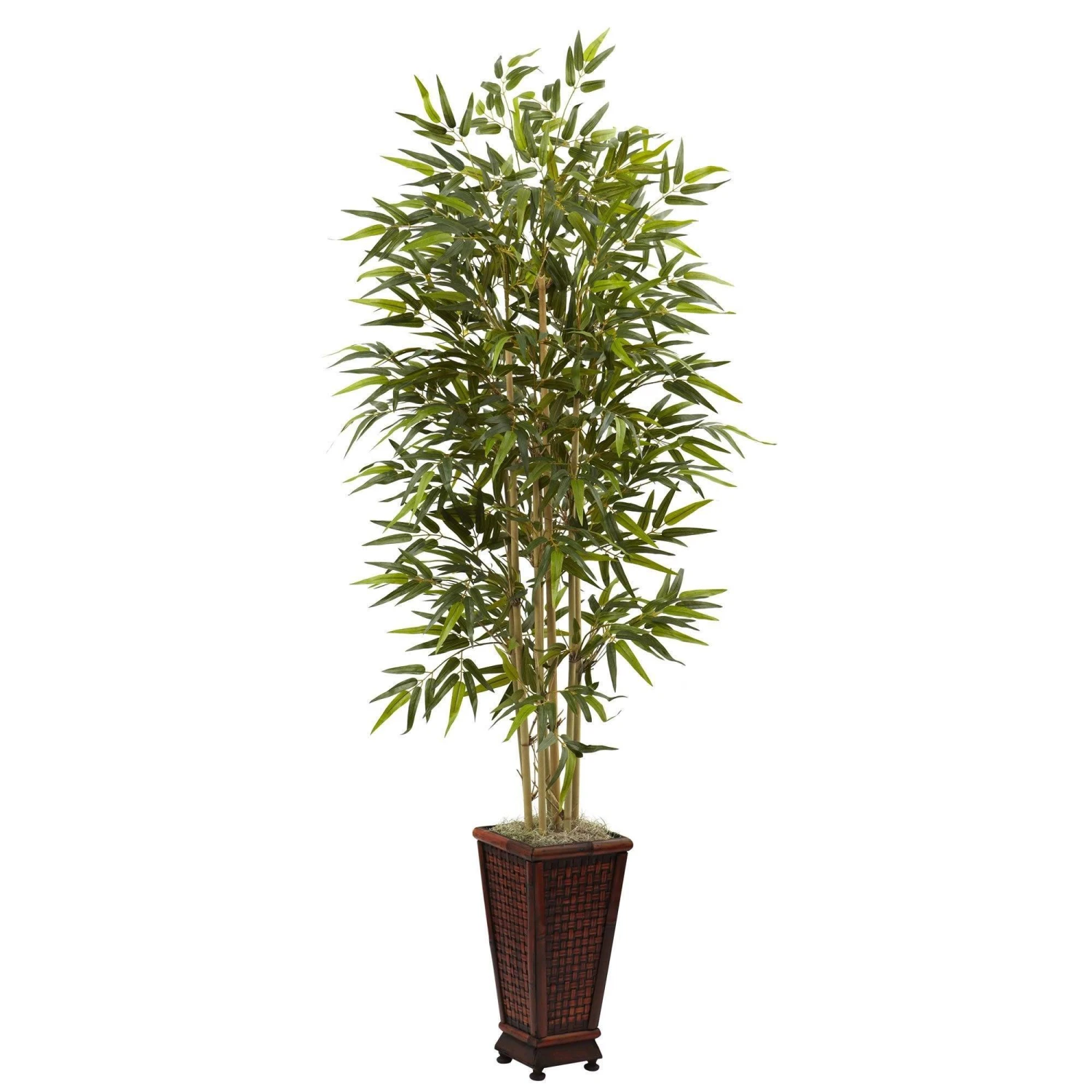6’ Bamboo Tree W/Decorative Planter 3 6’ Bamboo Tree W/Decorative Planter