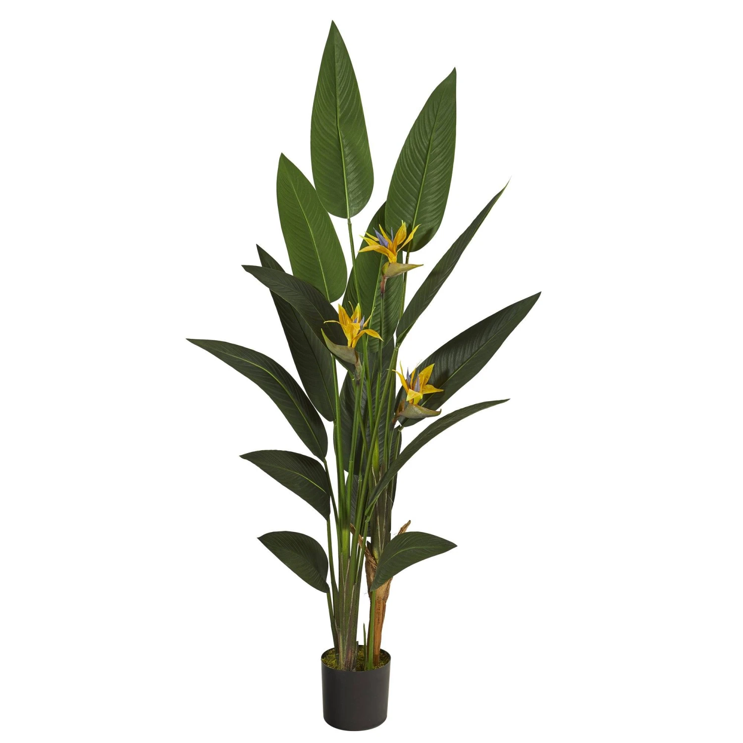 6’ Bird Of Paradise Artificial Plant 3 6’ Bird Of Paradise Artificial Plant
