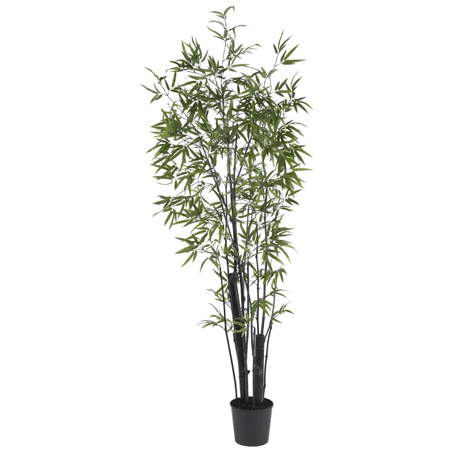6' Black Bamboo Silk Tree (2 Thick Trunks) 3 6' Black Bamboo Silk Tree (2 Thick Trunks)