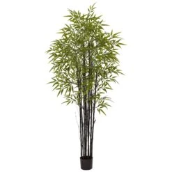 6' Black Bamboo Tree UV Resistant (Indoor/Outdoor)