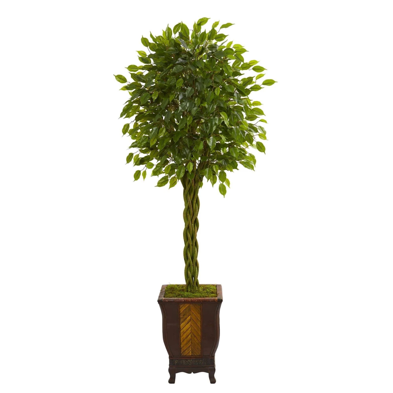 6’ Braided Ficus Artificial Tree In Decorative Planter 3 6’ Braided Ficus Artificial Tree In Decorative Planter