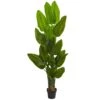 6’ Canna Artificial Tree -Artificial Flowers Sale artificial 6 canna artificial tree nearly natural 682814