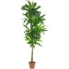 6’ Dracaena Silk Plant (Real Touch) -Artificial Flowers Sale artificial 6 dracaena silk plant real touch nearly natural 585727