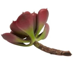 6” Artificial Echeveria Succulent (Set Of 12) -Artificial Flowers Sale artificial 6 echeveria succulent set of 12 nearly natural 129130