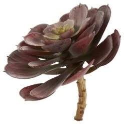 6” Echeveria Succulent (Set Of 12) 15 6” Echeveria Succulent (Set Of 12) -Artificial Flowers Sale artificial 6 echeveria succulent set of 12 nearly natural 262958
