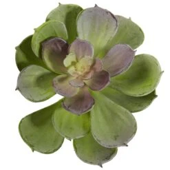 6” Artificial Echeveria Succulent (Set Of 12) -Artificial Flowers Sale artificial 6 echeveria succulent set of 12 nearly natural 283487