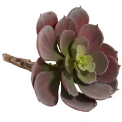 6” Artificial Echeveria Succulent (Set Of 12) -Artificial Flowers Sale artificial 6 echeveria succulent set of 12 nearly natural 384510
