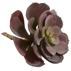 6” Echeveria Succulent (Set Of 12) 16 6” Echeveria Succulent (Set Of 12) -Artificial Flowers Sale artificial 6 echeveria succulent set of 12 nearly natural 646343