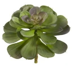 6” Echeveria Succulent (Set Of 12) 18 6” Echeveria Succulent (Set Of 12) -Artificial Flowers Sale artificial 6 echeveria succulent set of 12 nearly natural 907253