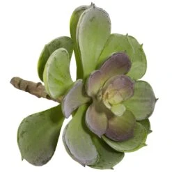 6” Artificial Echeveria Succulent (Set Of 12) -Artificial Flowers Sale artificial 6 echeveria succulent set of 12 nearly natural 996022