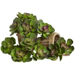 6” Artificial Echeveria Succulent (Set Of 12) -Artificial Flowers Sale artificial 6 echeveria succulent set of 12 nearly natural green burgundy 218085