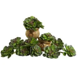 6” Echeveria Succulent (Set Of 12) 17 6” Echeveria Succulent (Set Of 12) -Artificial Flowers Sale artificial 6 echeveria succulent set of 12 nearly natural green burgundy 984522