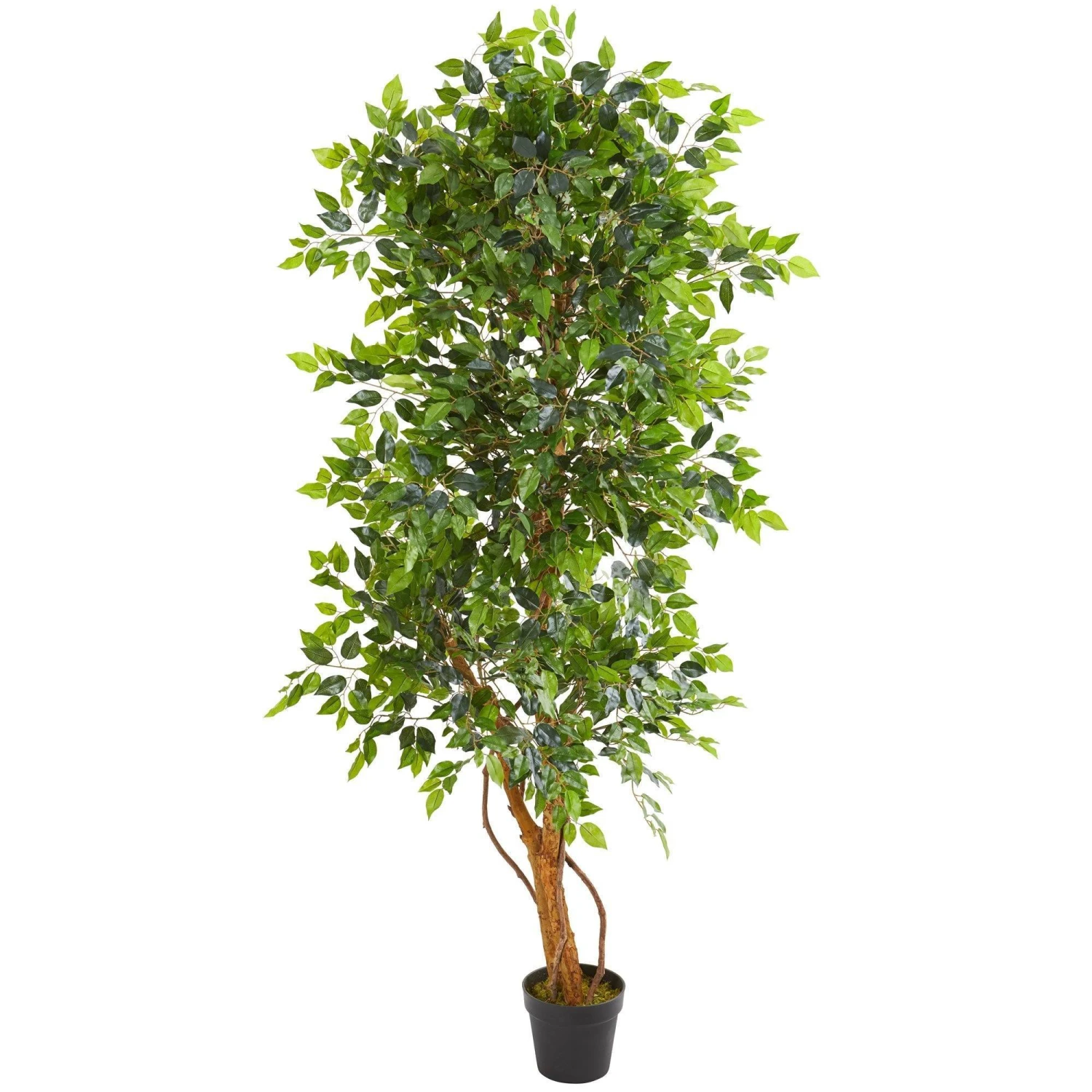 6’ Elegant Ficus Artificial Tree 3 6’ Elegant Ficus Artificial Tree