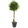 6’ Ficus Artificial Tree In Slate Planter (Indoor/Outdoor) -Artificial Flowers Sale artificial 6 ficus artificial tree in slate planter uv resistant indooroutdoor nearly natural 578550